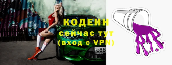 твердый Бородино