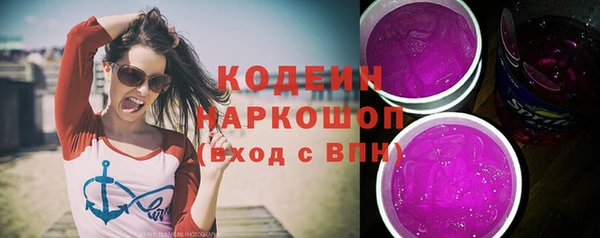 твердый Бородино