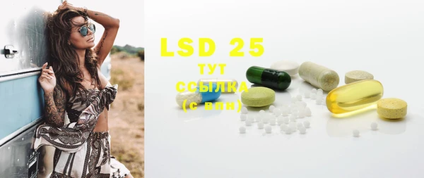 твердый Бородино