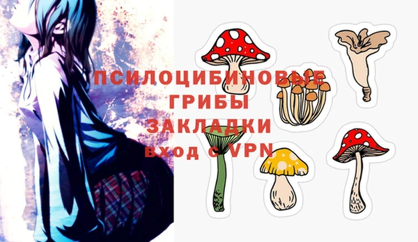 твердый Бородино