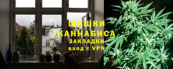 твердый Бородино