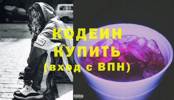 твердый Бородино