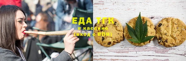 твердый Бородино